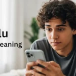 Delulu Slang Meaning